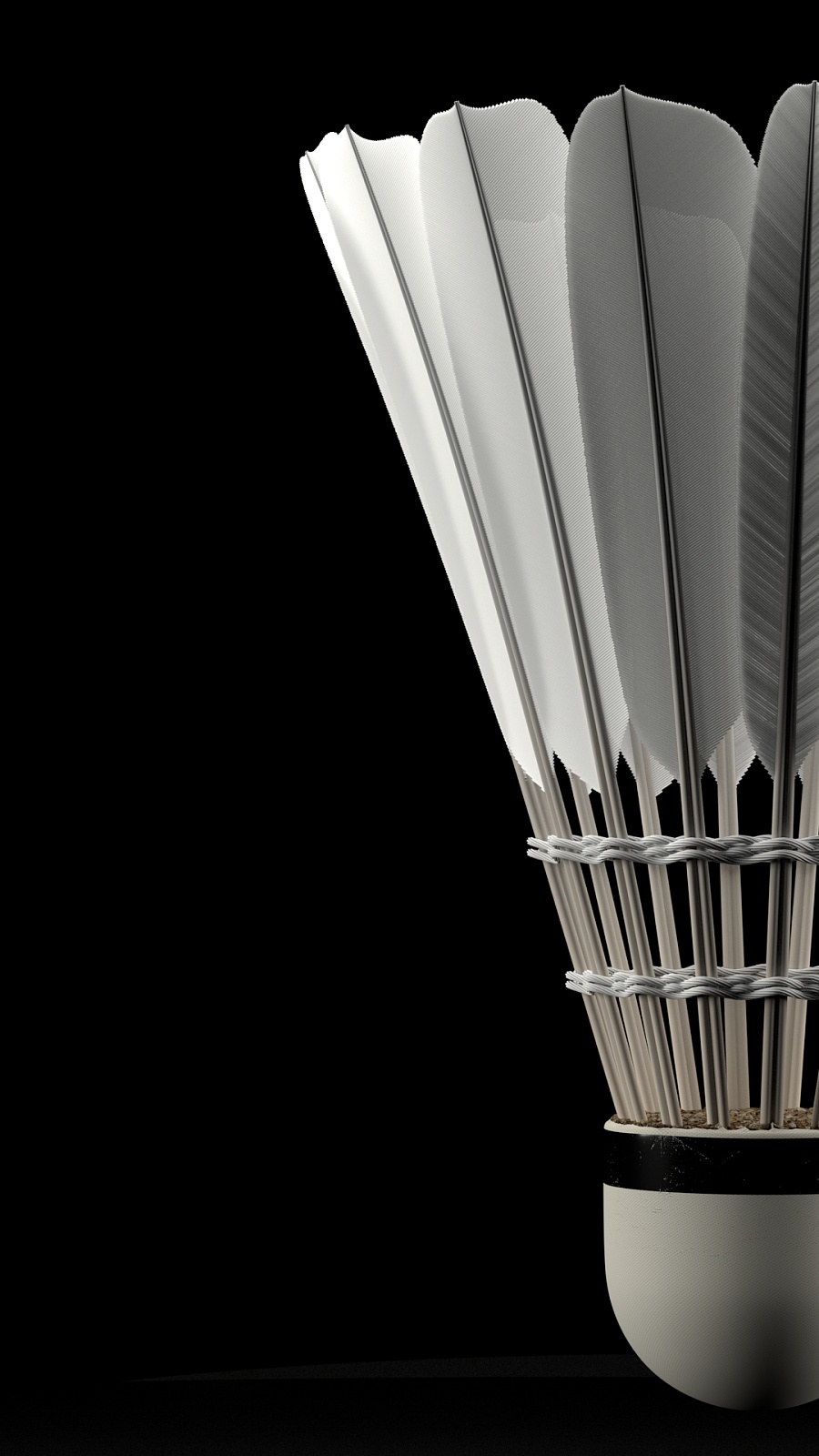 在转会时也 在转会时也