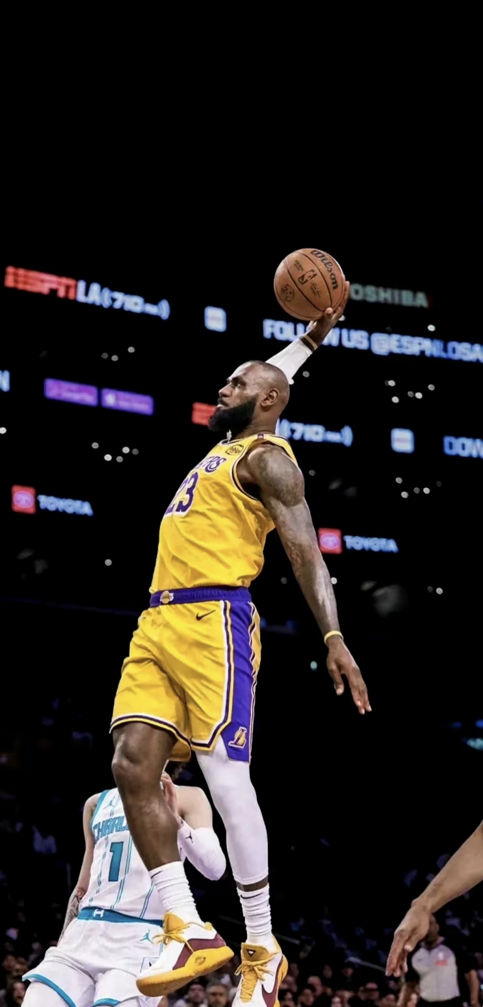 假设第四节 假设第四节